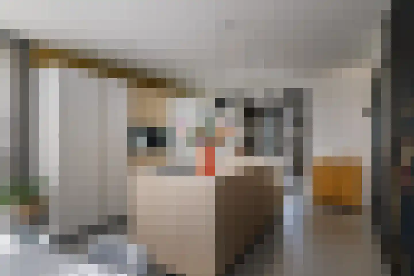 Korte Kamp 1 Olst thumbnail 4