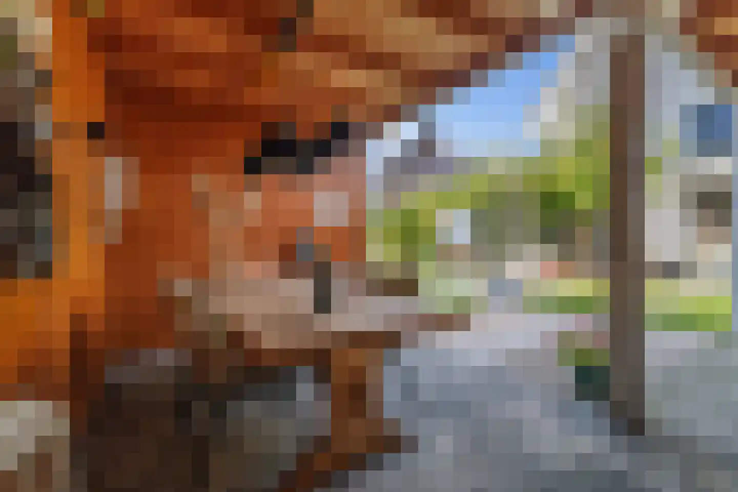 Korte Kamp 1 Olst thumbnail 43