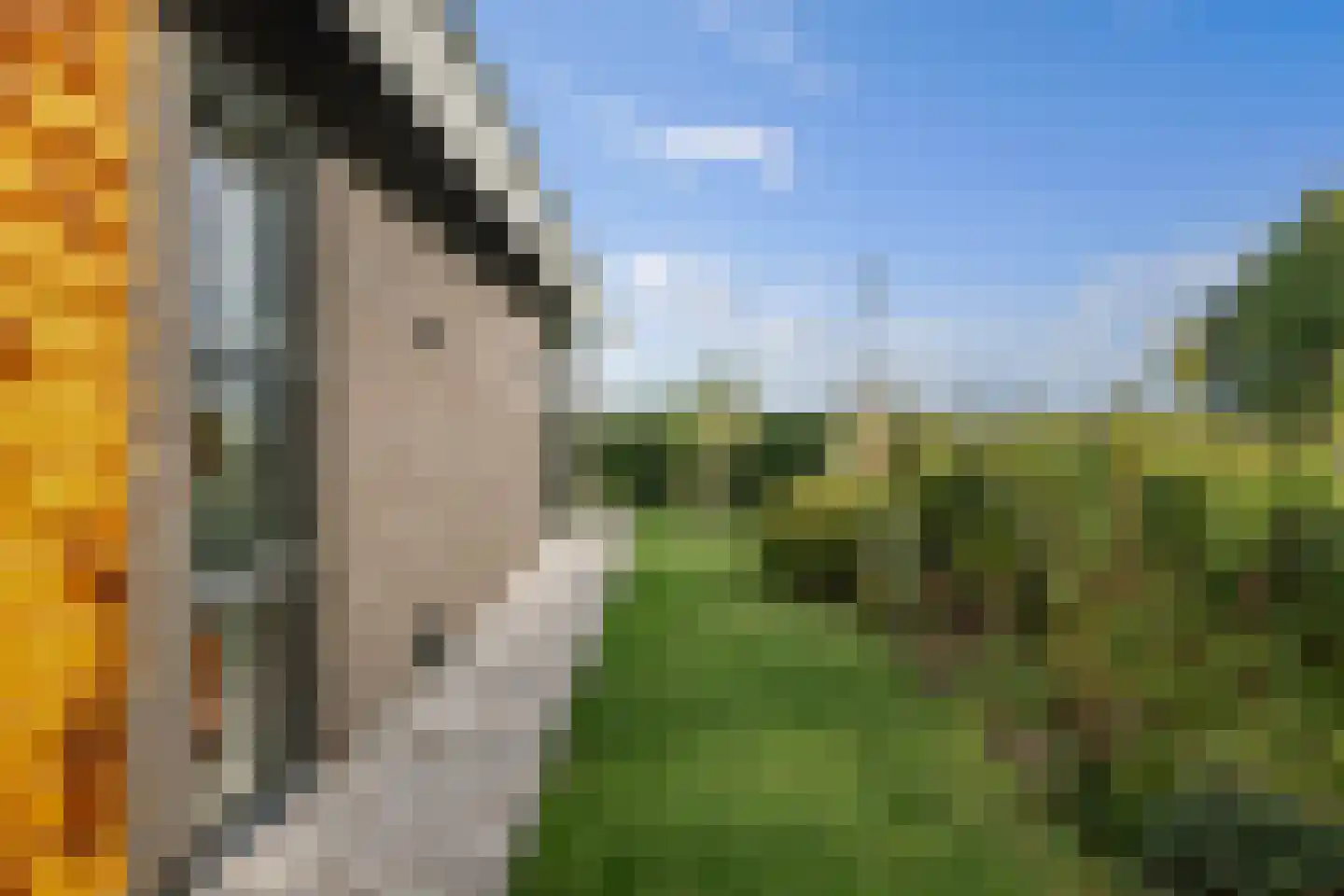 Korte Kamp 1 Olst thumbnail 46
