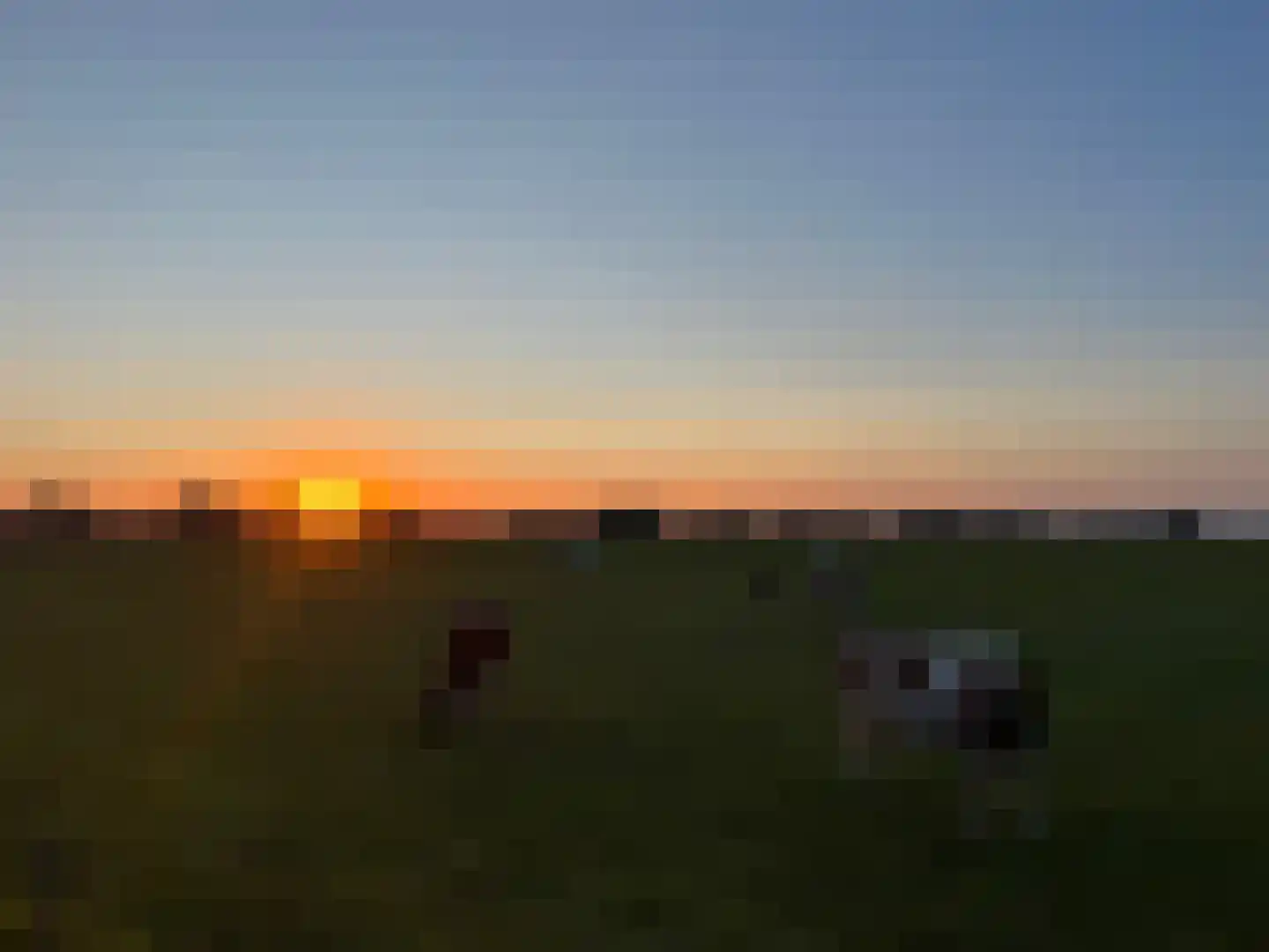 Korte Kamp 1 Olst thumbnail 60