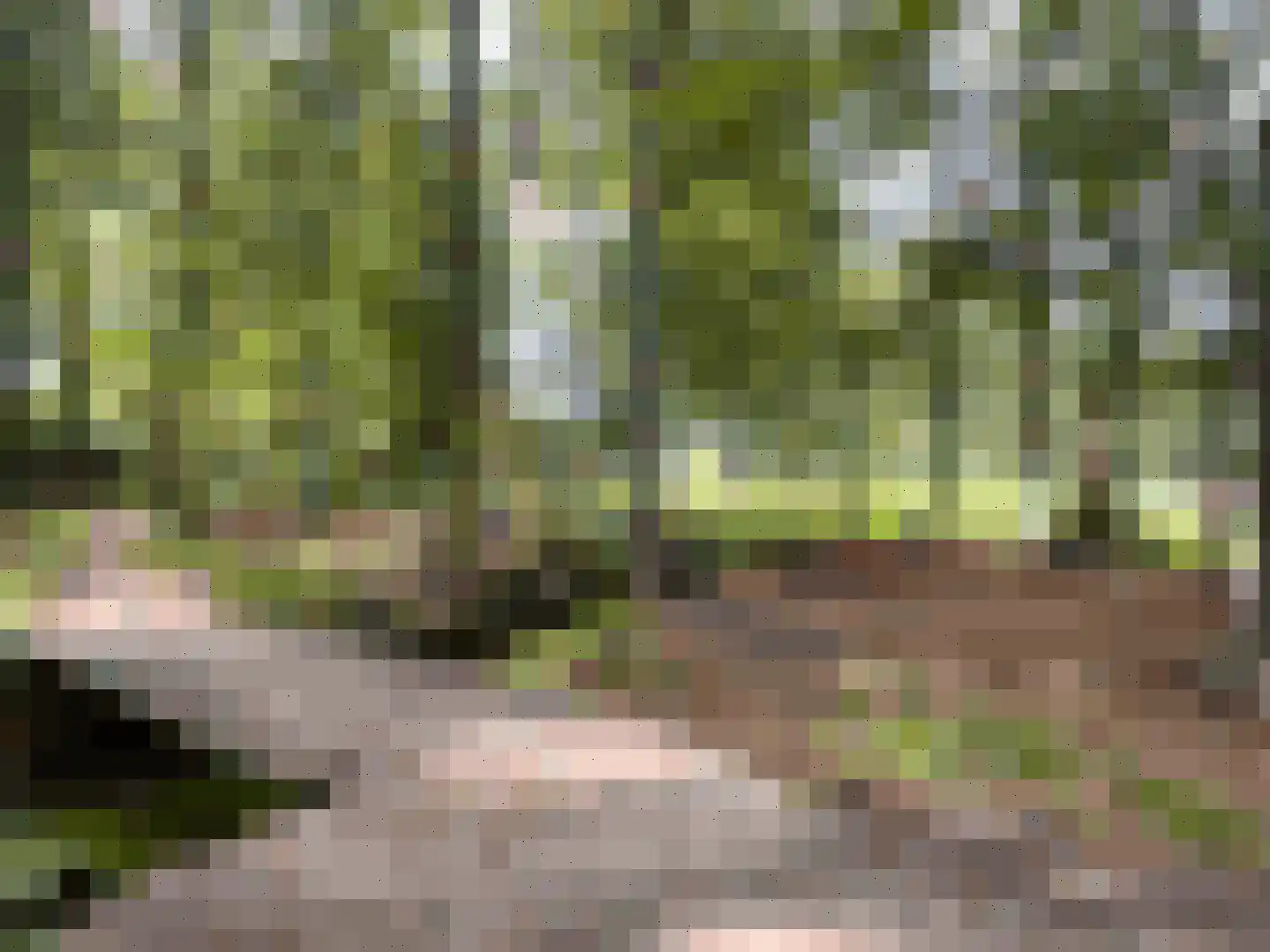 Korte Kamp 1 Olst thumbnail 63
