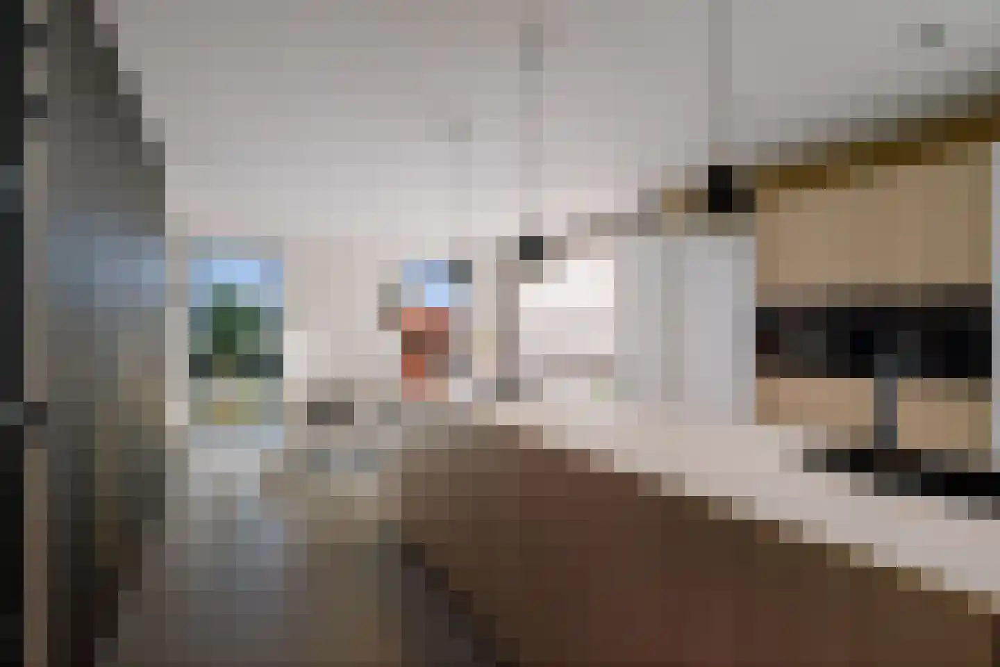 Korte Kamp 1 Olst thumbnail 9