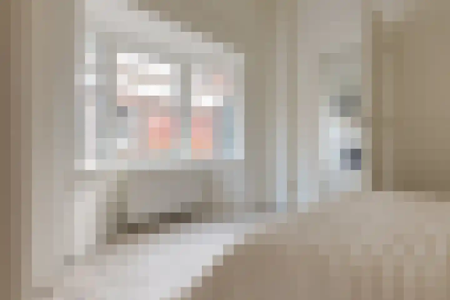 Korte Kamperstraat 22 A Zwolle thumbnail 15