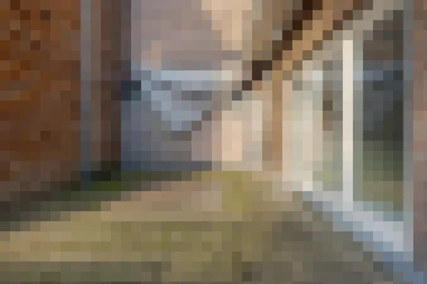 Korte Kamperstraat 22 A Zwolle thumbnail 22