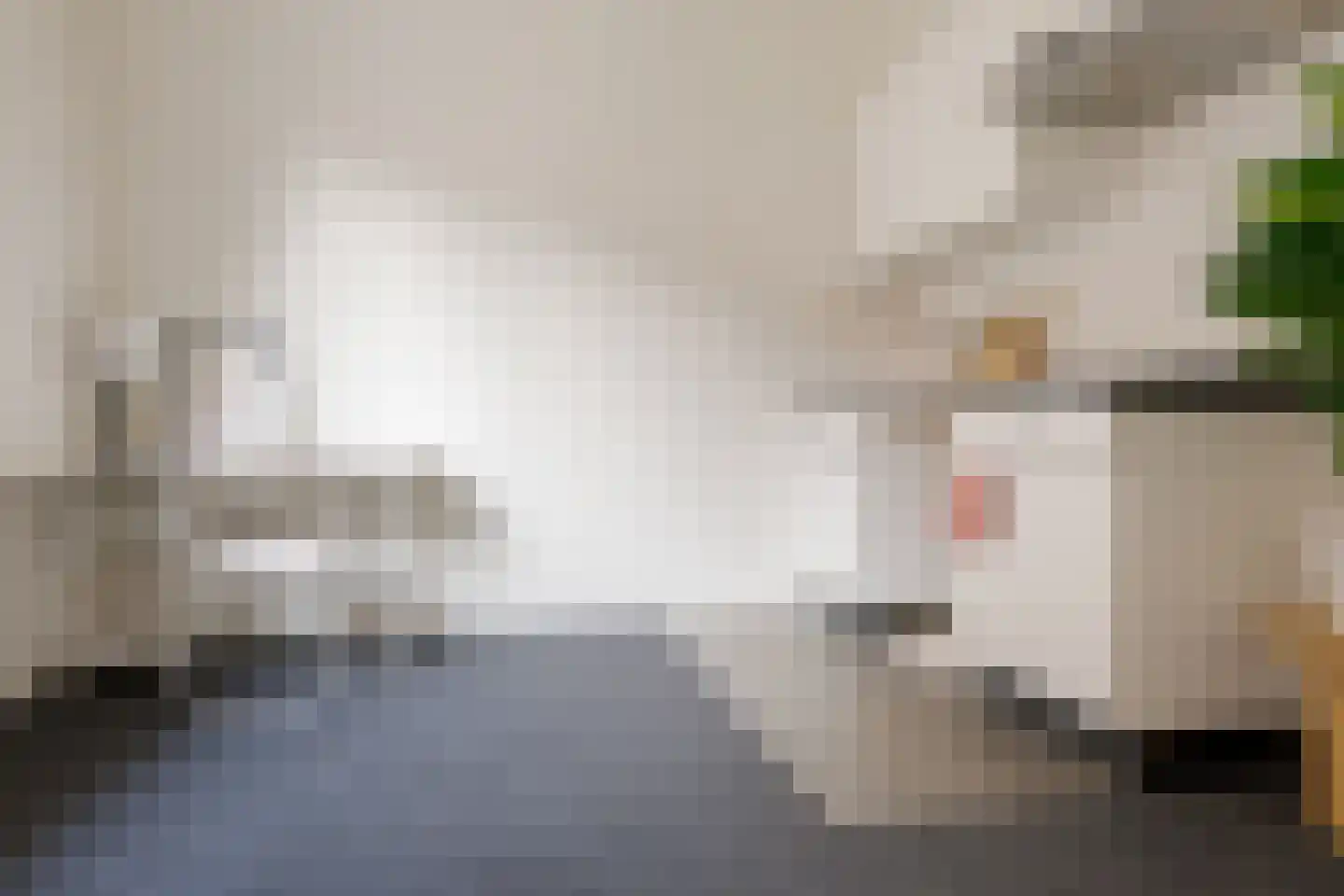 Korte Kamperstraat 22 A Zwolle thumbnail 8