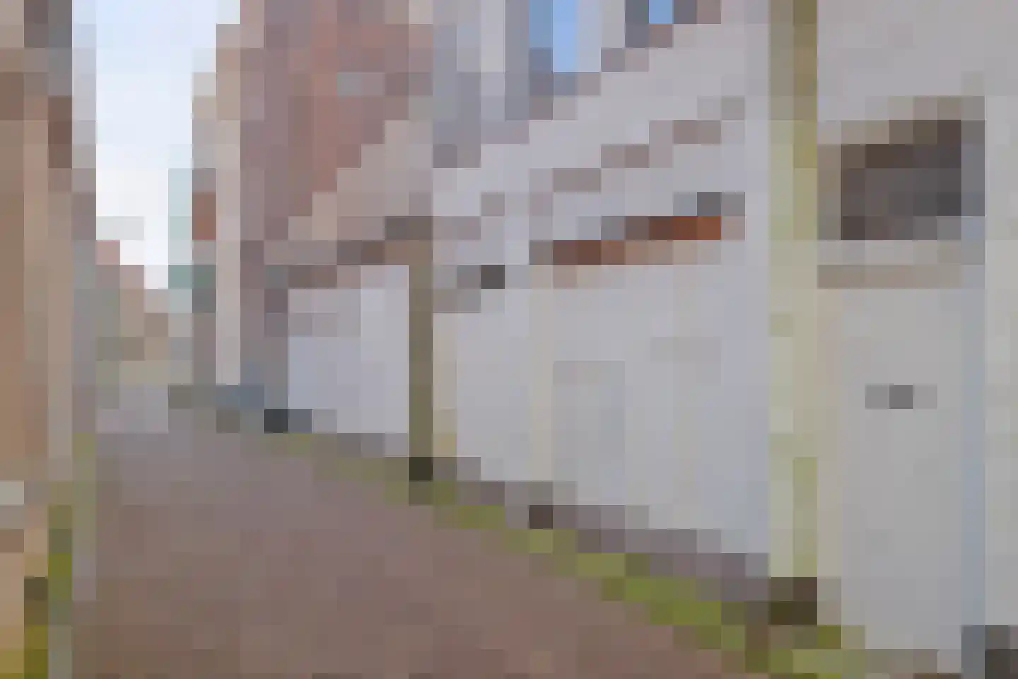 Korte Kamperstraat 6 Zwolle foto 3