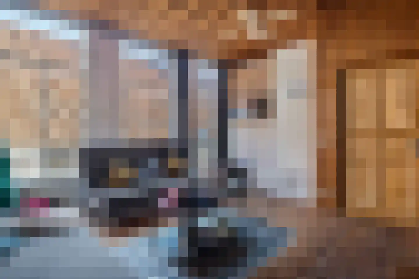Korte Kamperstraat 6 Zwolle thumbnail 6