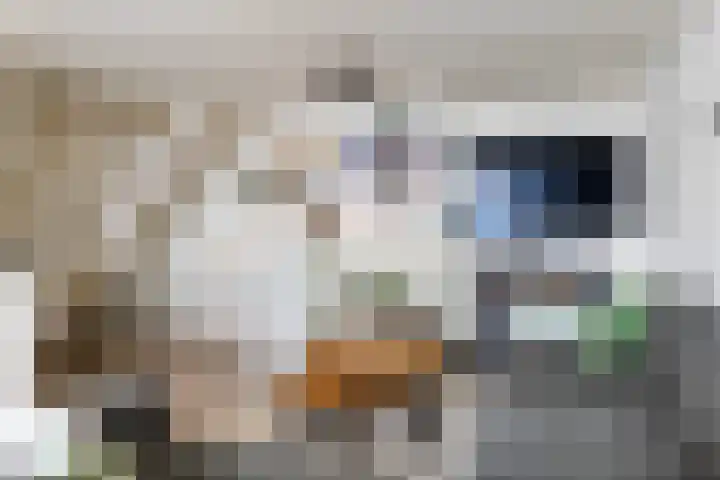 Korte Kamperstraat 7 Zwolle thumbnail 12