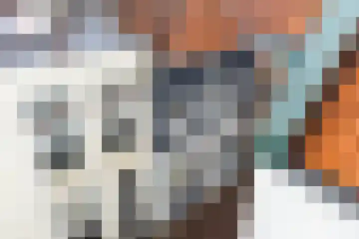 Korte Kamperstraat 7 Zwolle thumbnail 4