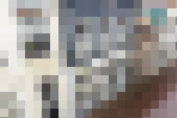 Korte Kamperstraat 7 Zwolle thumbnail 5