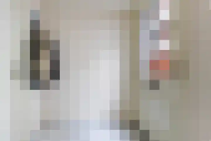 Korte Kamperstraat 7 Zwolle thumbnail 6