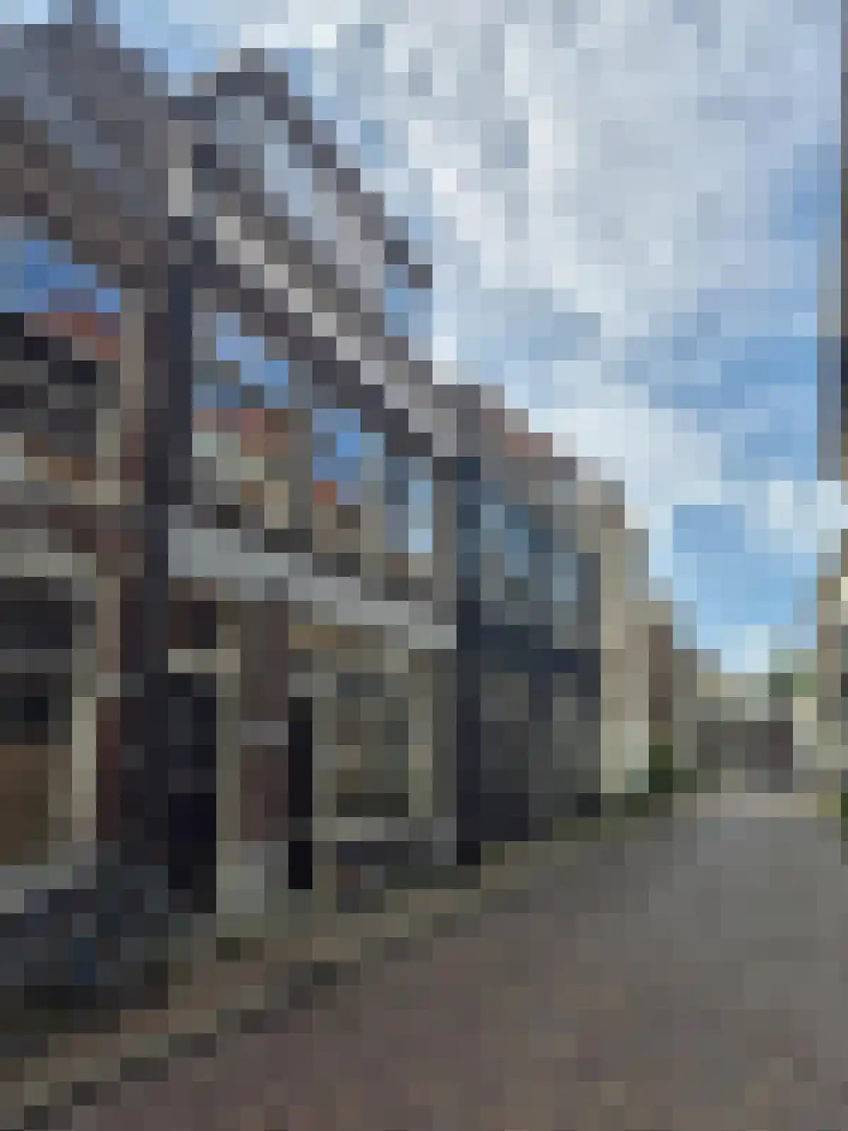 Korte Kamperstraat in Zwolle