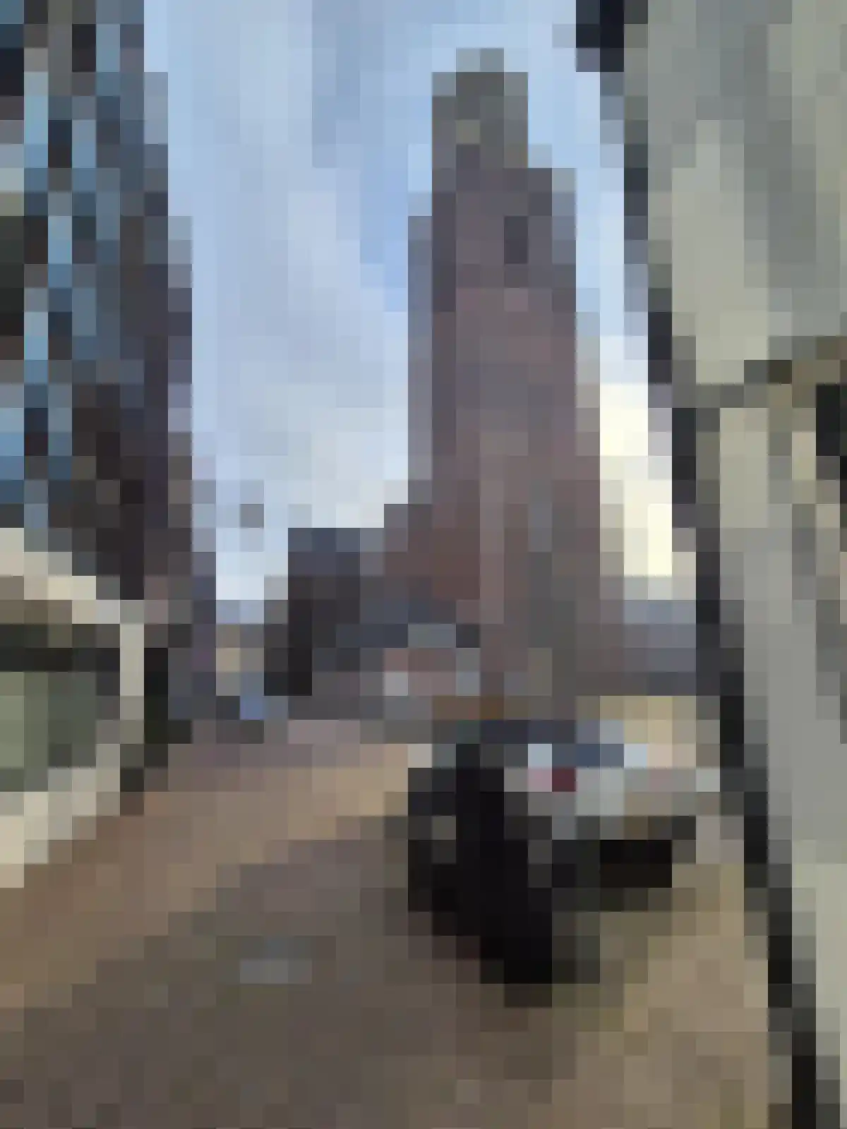 Korte Kamperstraat Zwolle thumbnail 6