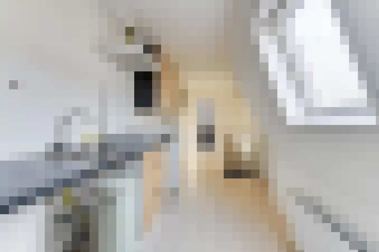 Korte Kapellaan 12 Heiloo thumbnail 14
