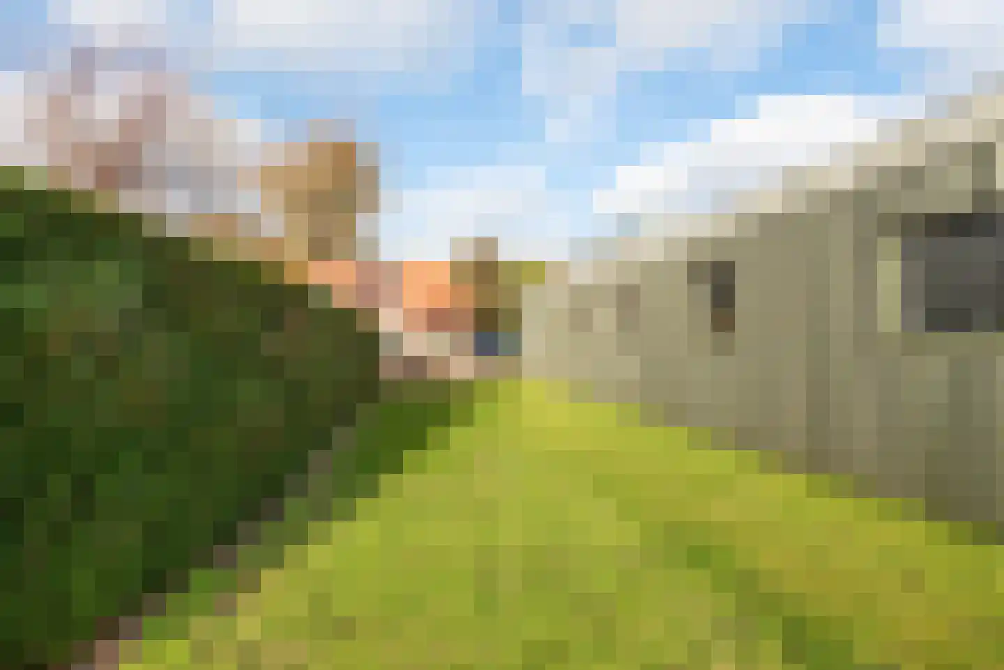 Korte Kapellaan 12 Heiloo thumbnail 23