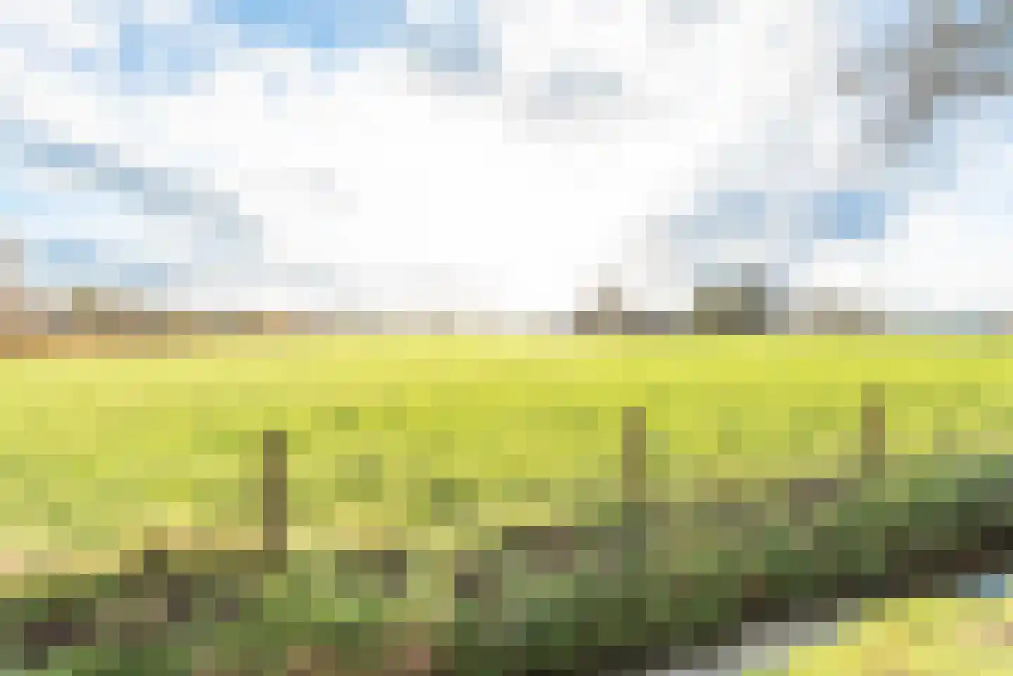 Korte Kapellaan 12 Heiloo thumbnail 24