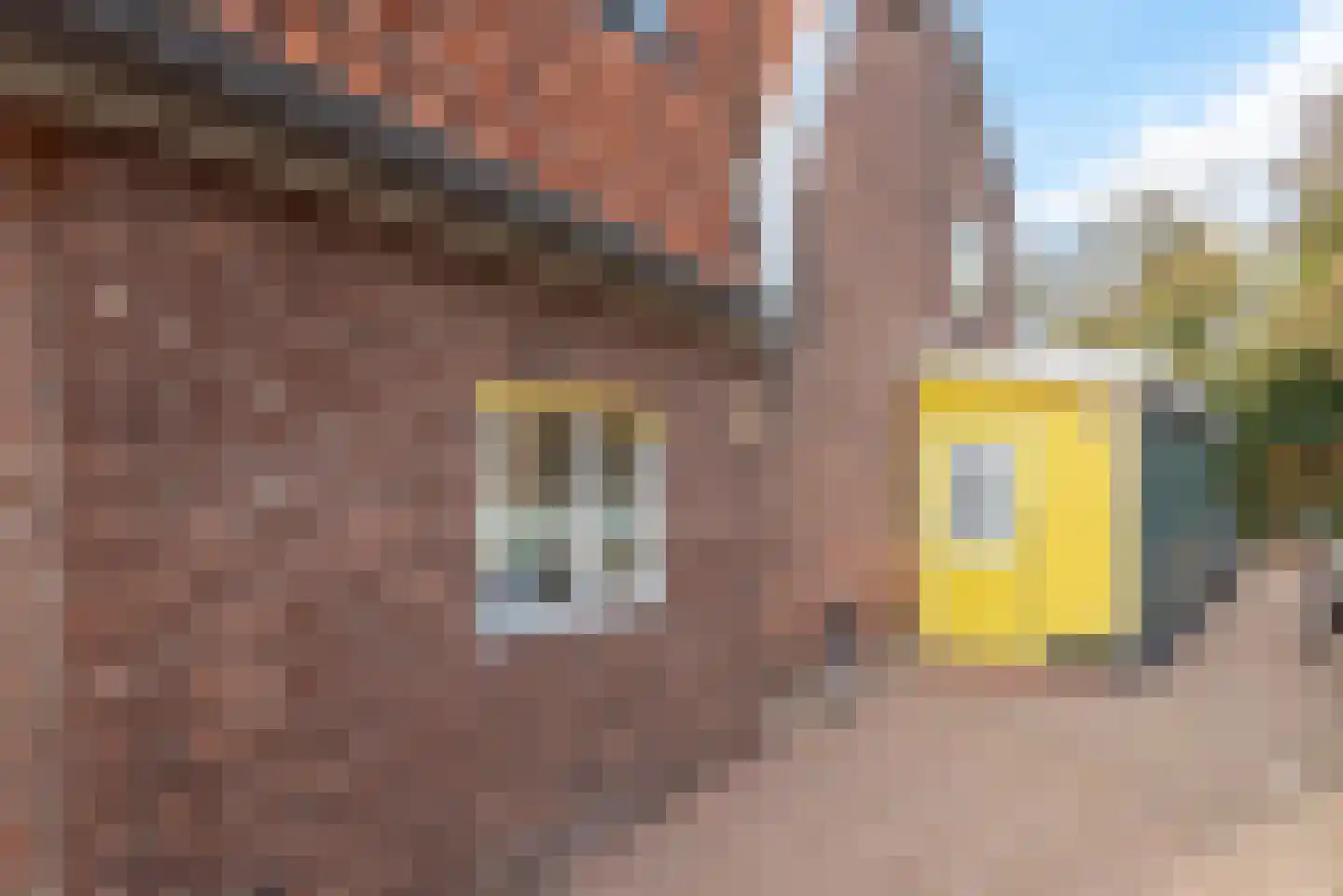 Korte Kapellaan 12 Heiloo thumbnail 6