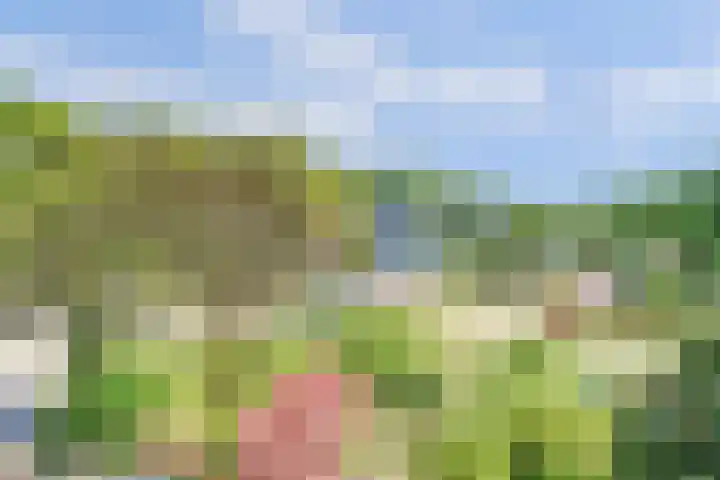 Korte Kar 9 Beuningen Gld thumbnail 30