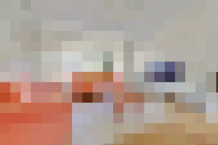 Korte Kar 9 Beuningen Gld thumbnail 7