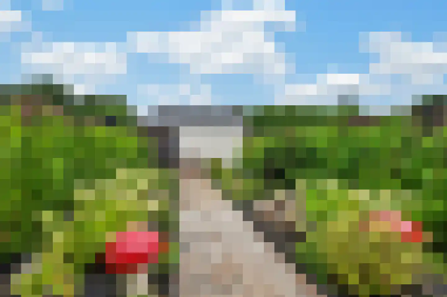 Korte Kavel 29 Emmer-Compascuum thumbnail 30