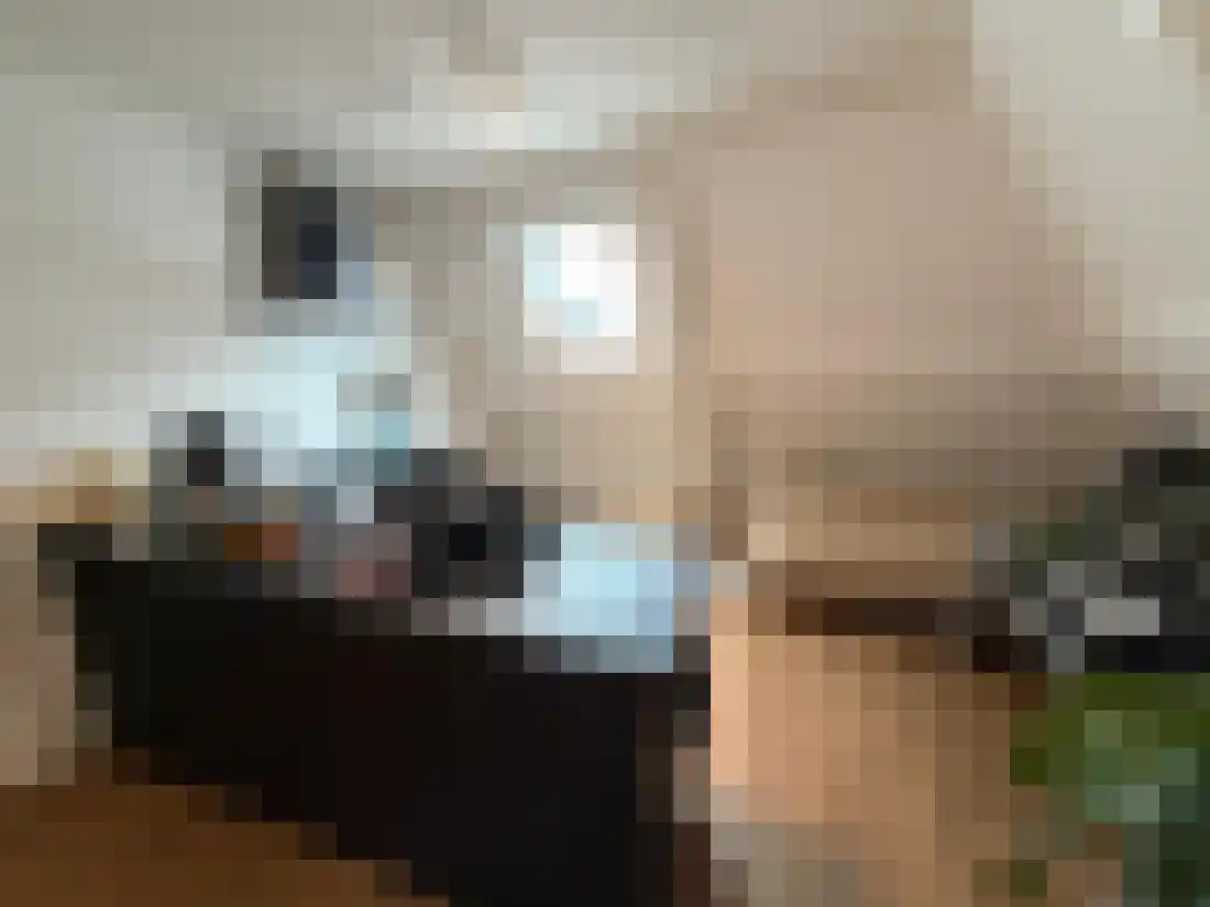 Korte Kerkstraat 1 Harderwijk thumbnail 12