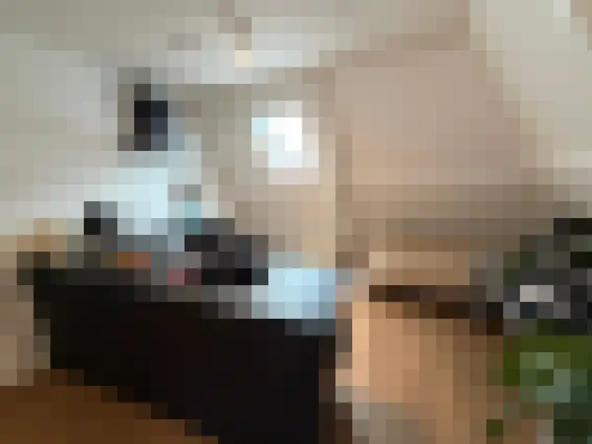 Korte Kerkstraat 1 Harderwijk thumbnail 6