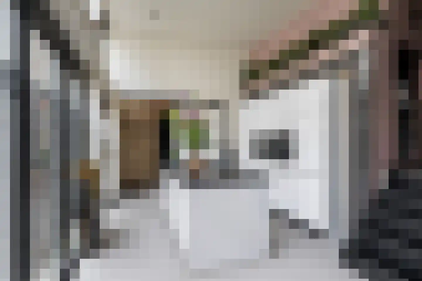 Korte Kerkstraat 11 Schiedam thumbnail 10