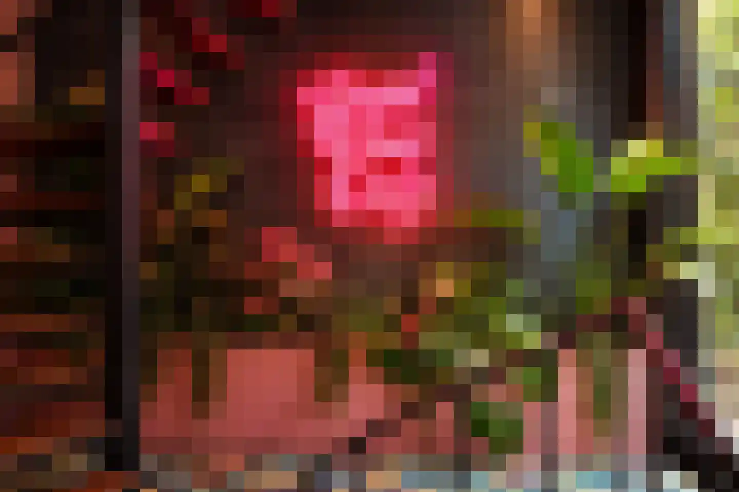 Korte Kerkstraat 11 Schiedam thumbnail 20