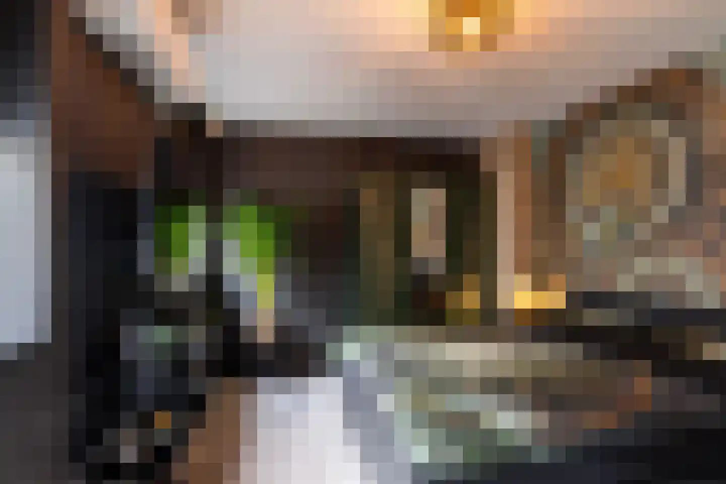 Korte Kerkstraat 11 Schiedam thumbnail 28