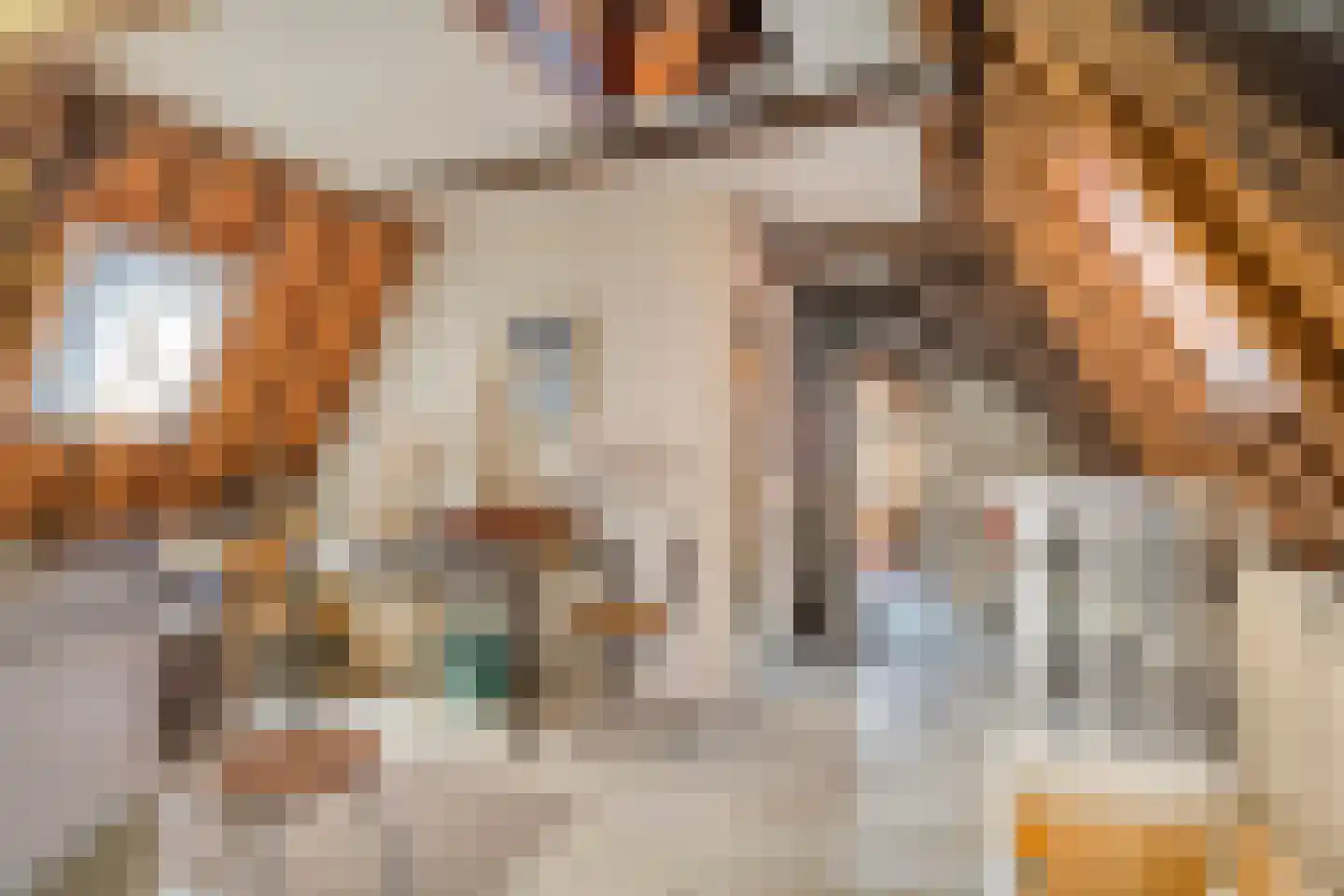 Korte Kerkstraat 13 Goes thumbnail 26