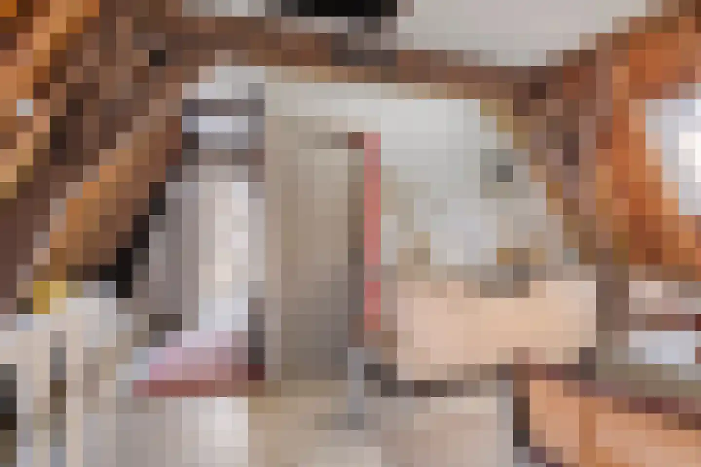 Korte Kerkstraat 13 Goes thumbnail 27