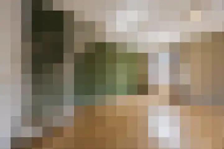 Korte Kerkstraat 15 Veghel thumbnail 14