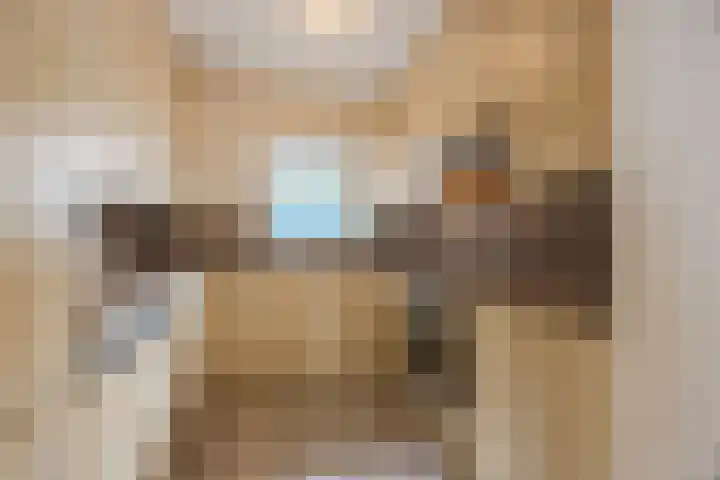 Korte Kerkstraat 15 Veghel thumbnail 18
