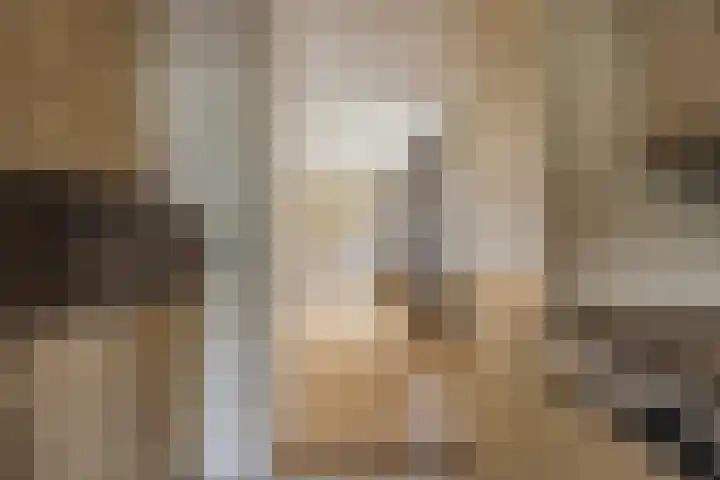 Korte Kerkstraat 15 Veghel thumbnail 19