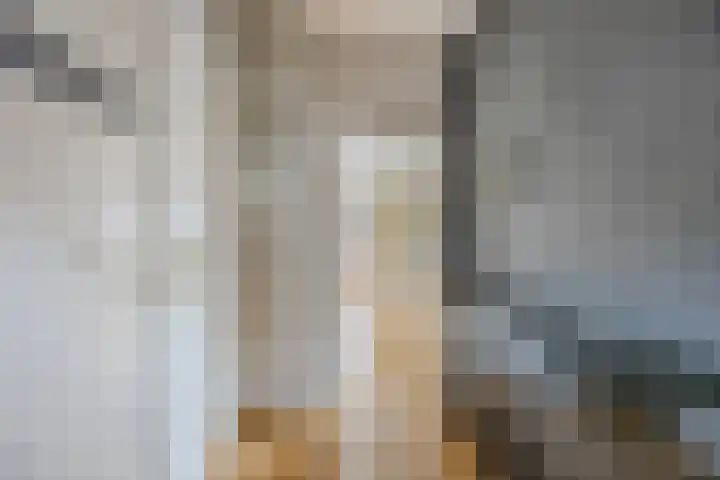 Korte Kerkstraat 15 Veghel thumbnail 20