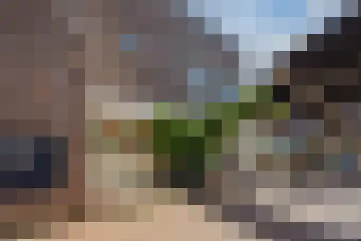 Korte Kerkstraat 15 Veghel thumbnail 5