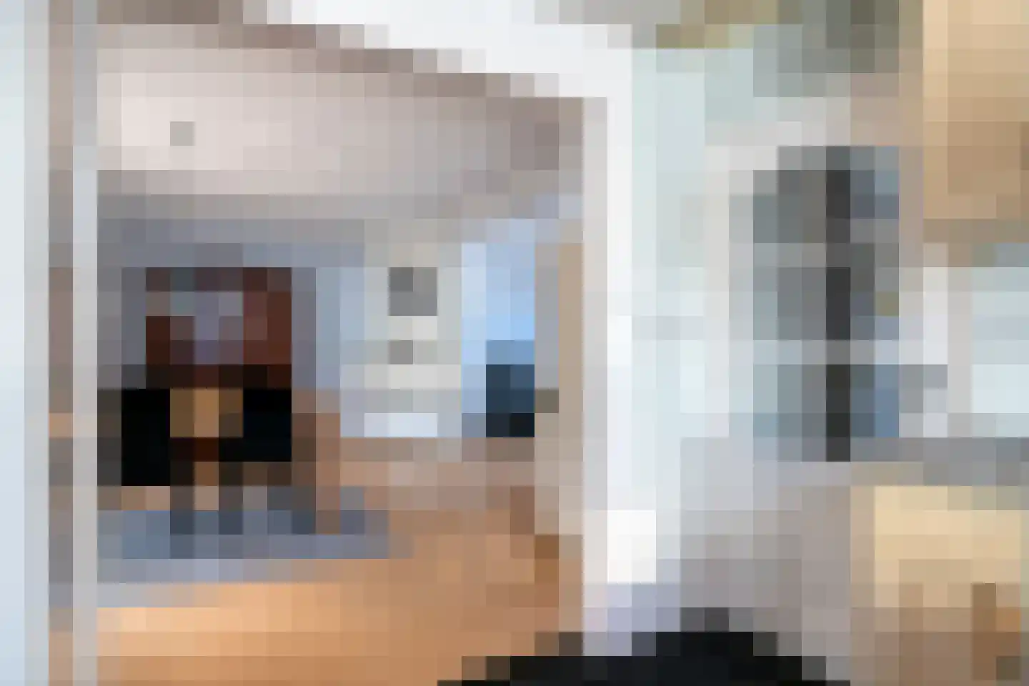 Korte Kerkstraat 2 Nuland thumbnail 11