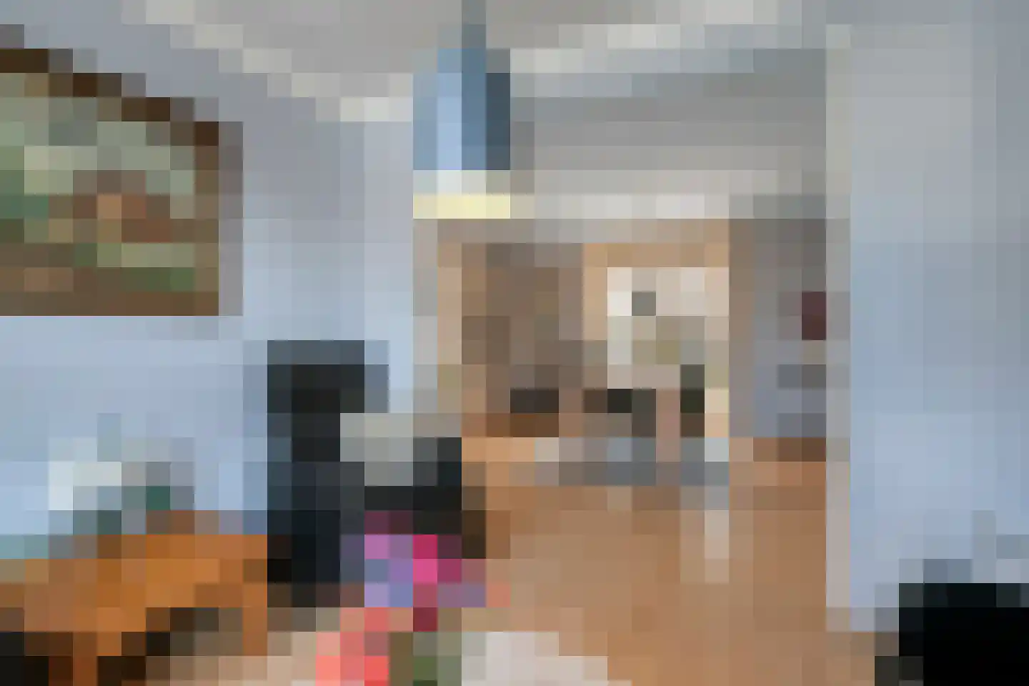 Korte Kerkstraat 2 Nuland thumbnail 16