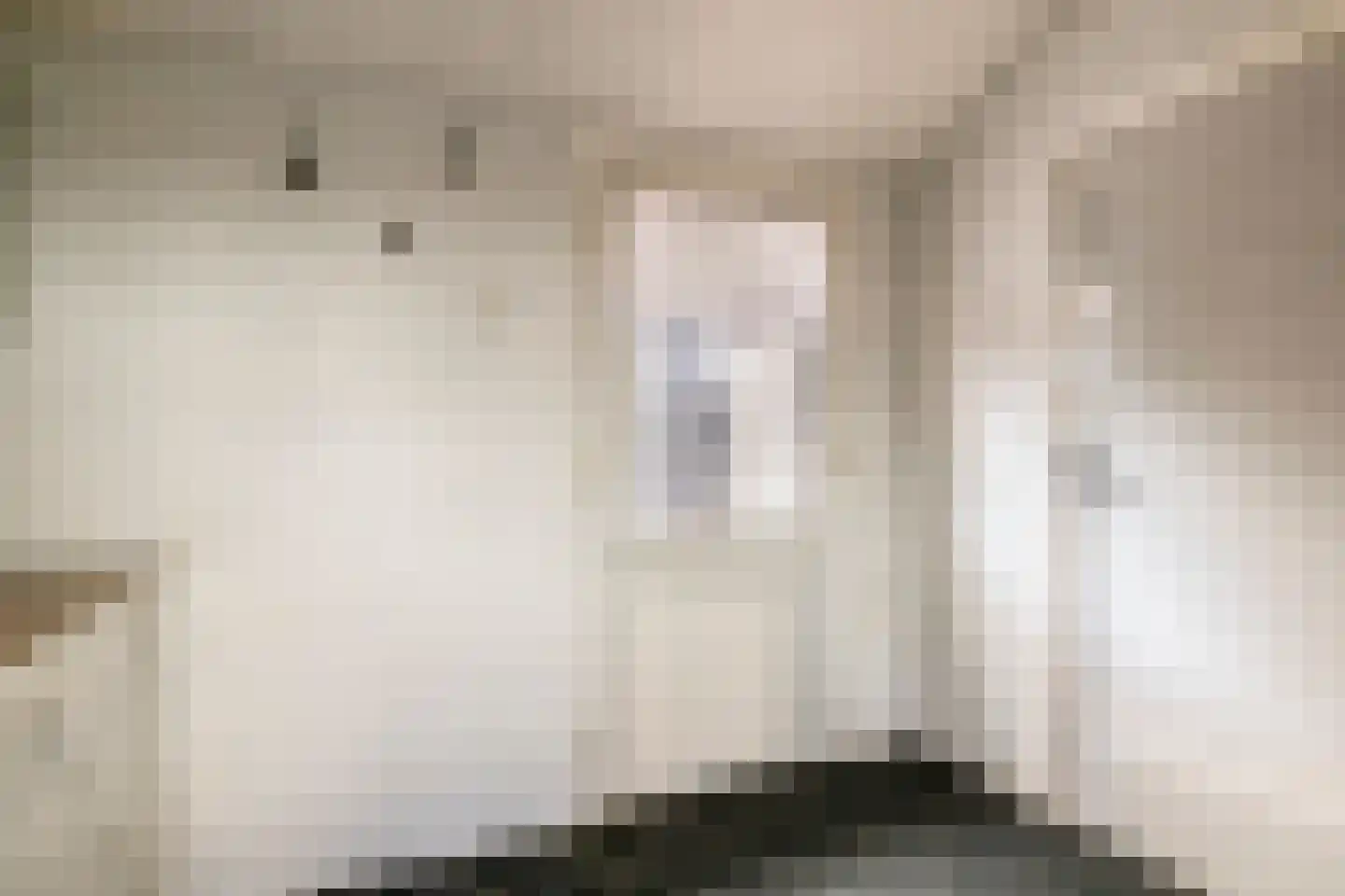 Korte Kerkstraat 2 Nuland thumbnail 18