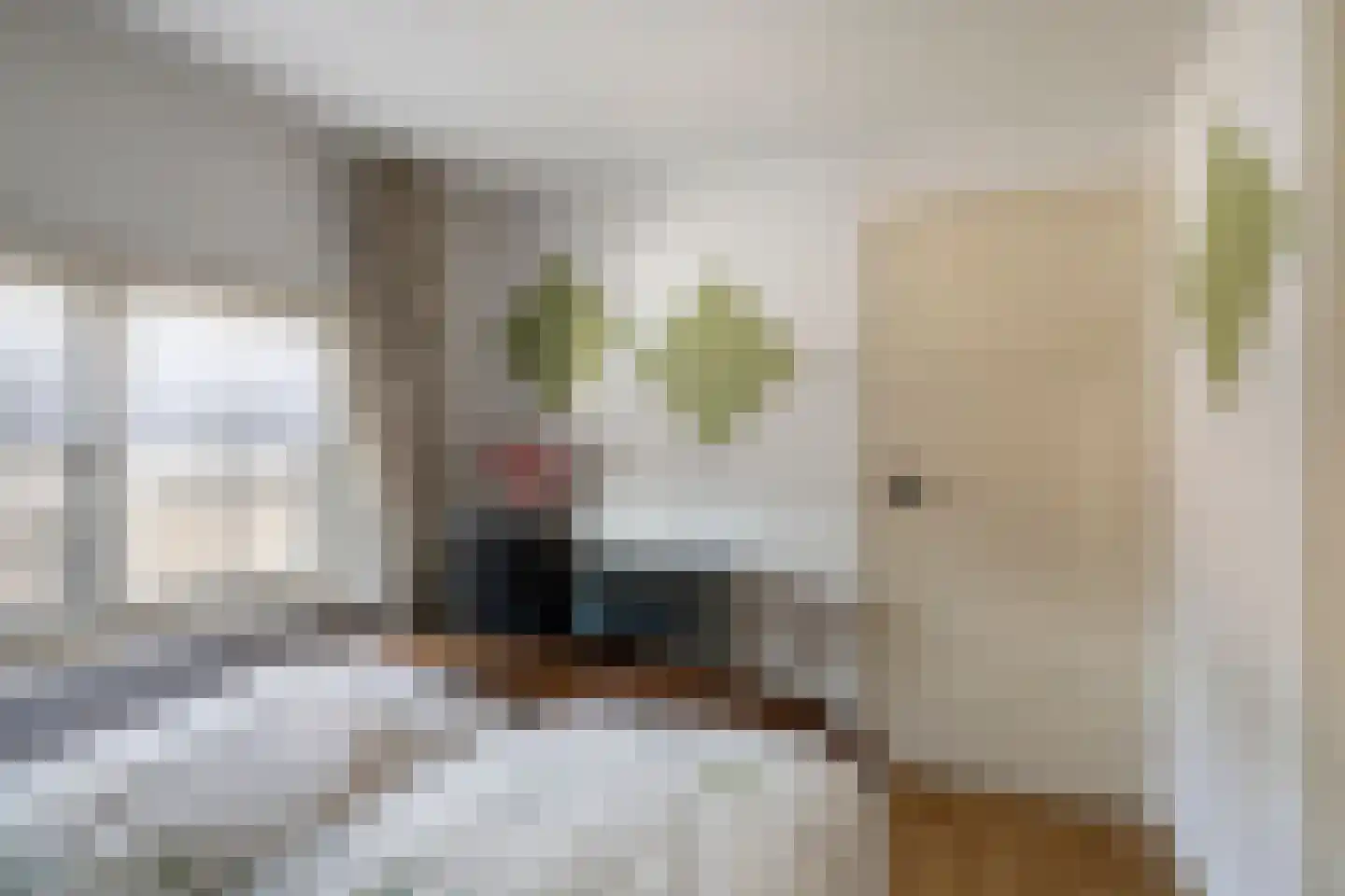 Korte Kerkstraat 2 Nuland thumbnail 21