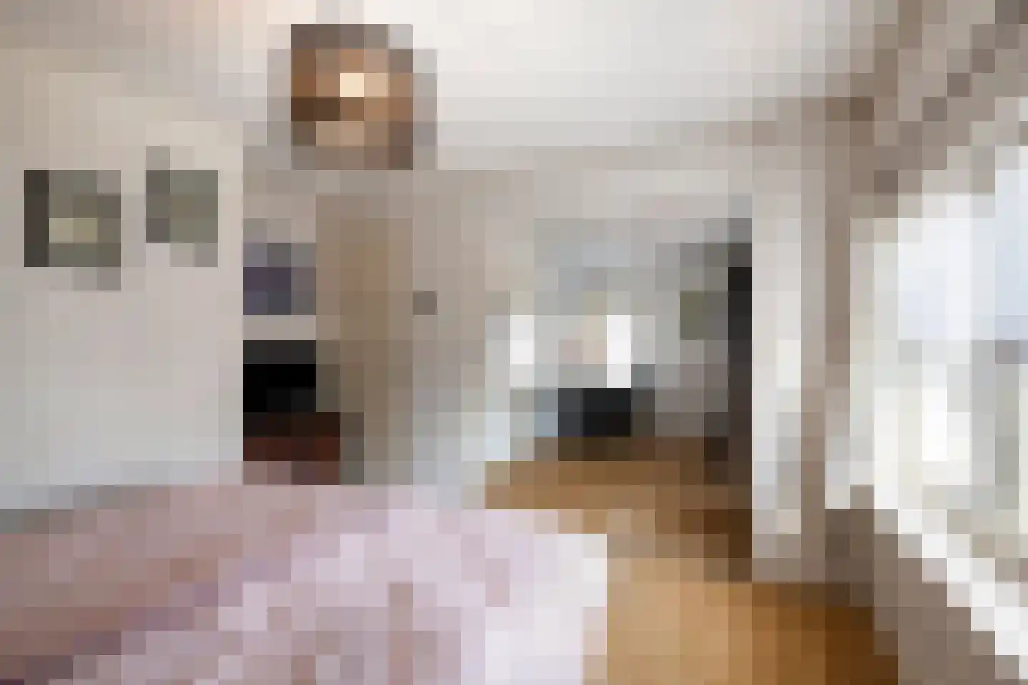 Korte Kerkstraat 2 Nuland thumbnail 24