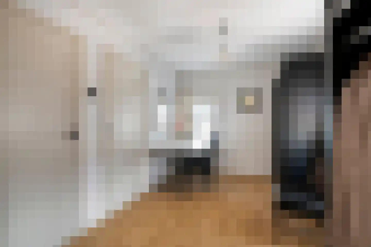 Korte Kerkstraat 2 Nuland thumbnail 25