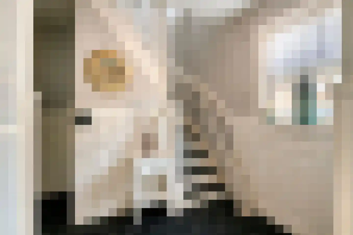 Korte Kerkstraat 2 Nuland thumbnail 5
