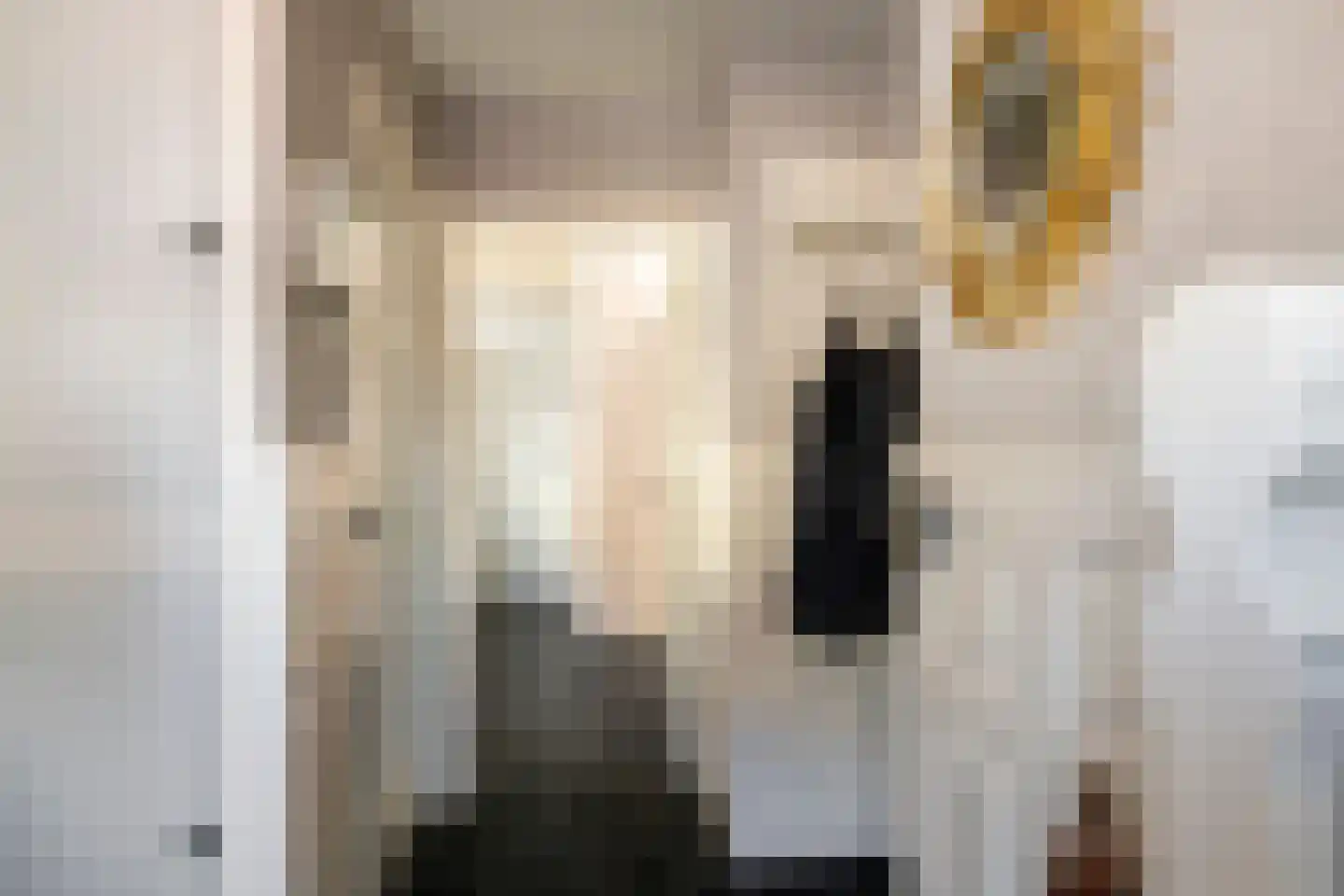 Korte Kerkstraat 2 Nuland thumbnail 7