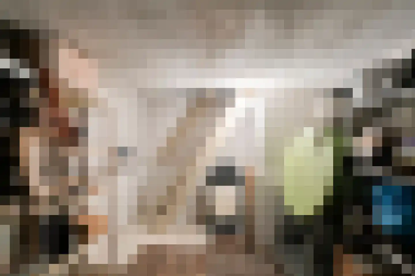 Korte Kerkstraat 2 Nuland thumbnail 8