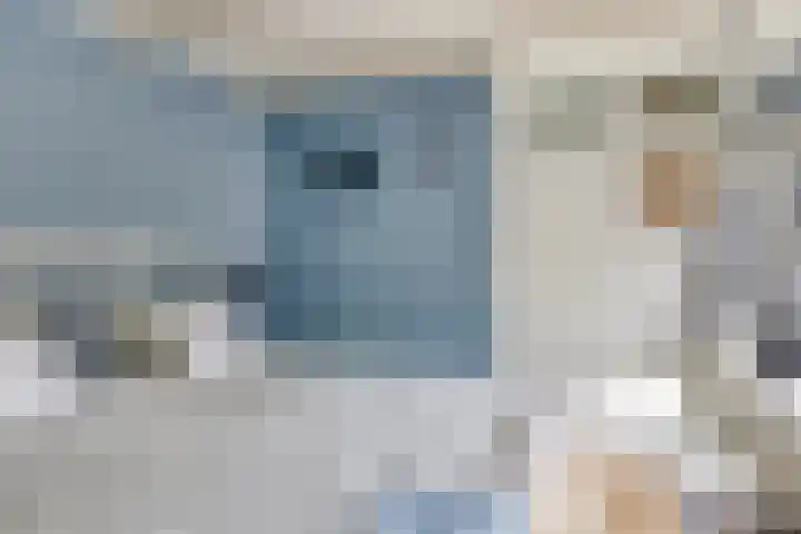 Korte Kerkstraat 2 Schiedam thumbnail 13