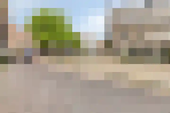 Korte Kerkstraat 2 Schiedam thumbnail 20