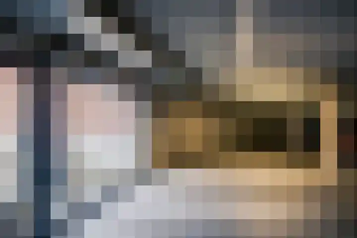 Korte Kerkstraat 2 Schiedam thumbnail 22