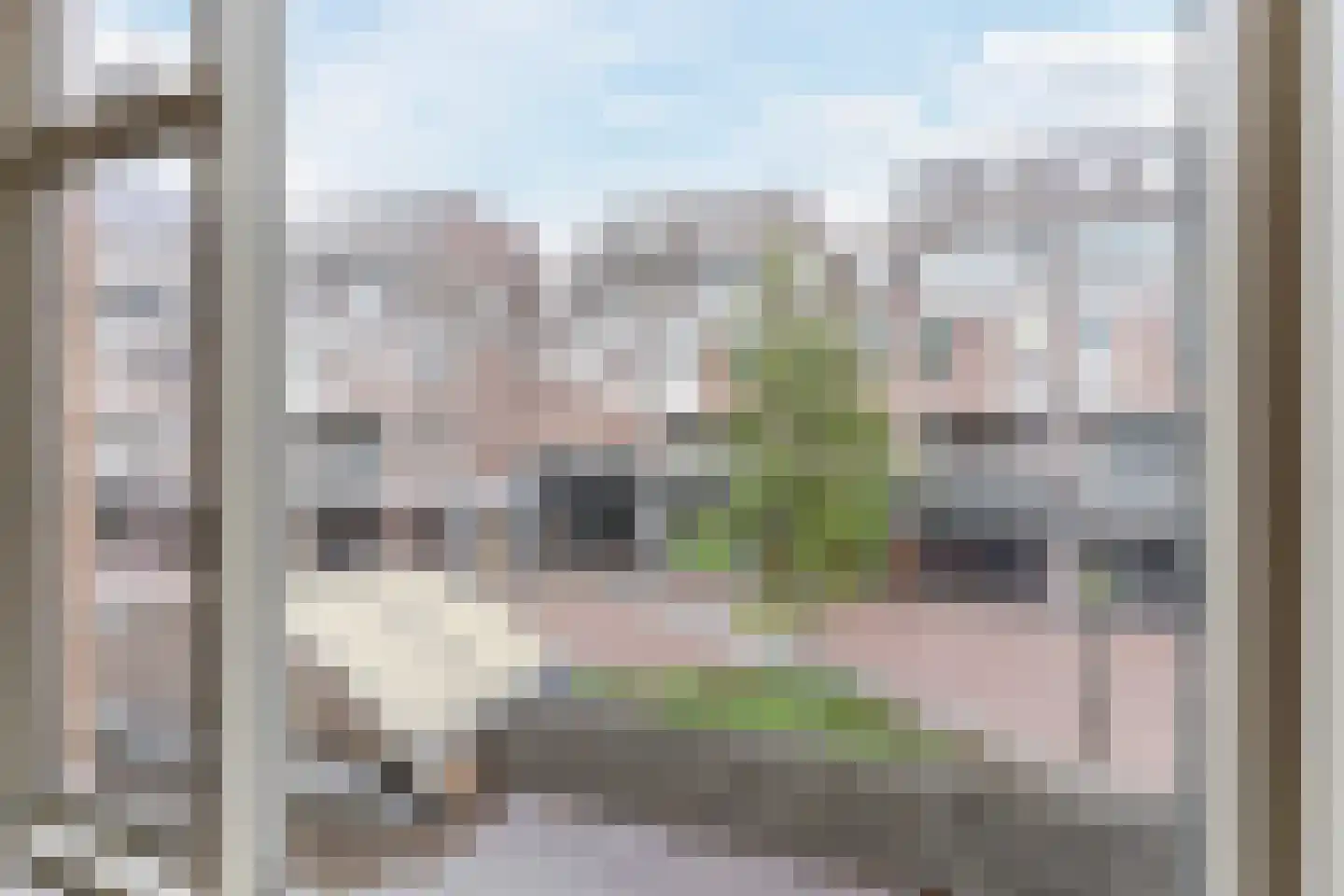 Korte Kerkstraat 26 Geldrop thumbnail 17