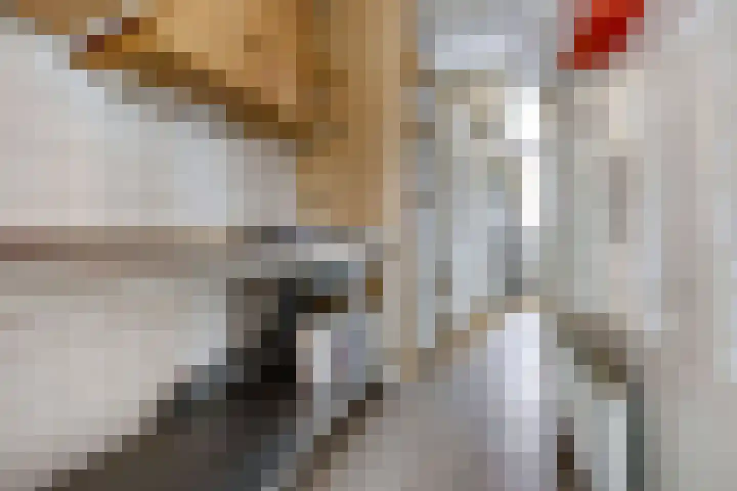 Korte Kerkstraat 27 Vianen thumbnail 10